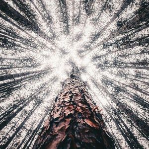 Meet your Posher, Brett